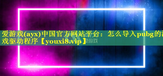 怎么导入pubg的游戏驱动程序