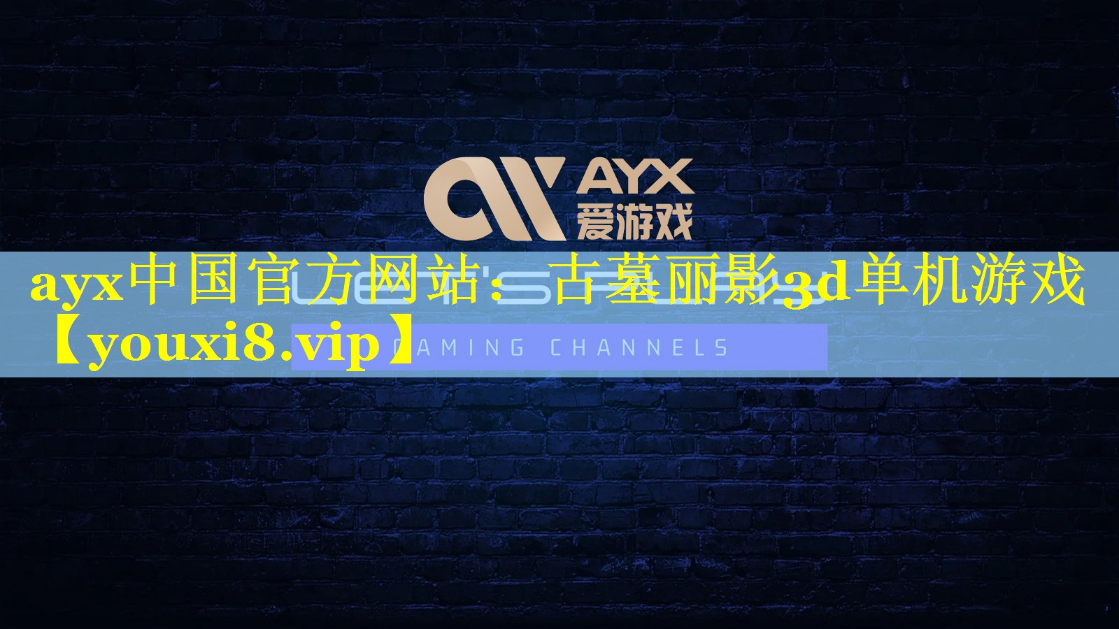 ayx中国官方网站：古墓丽影3d单机游戏